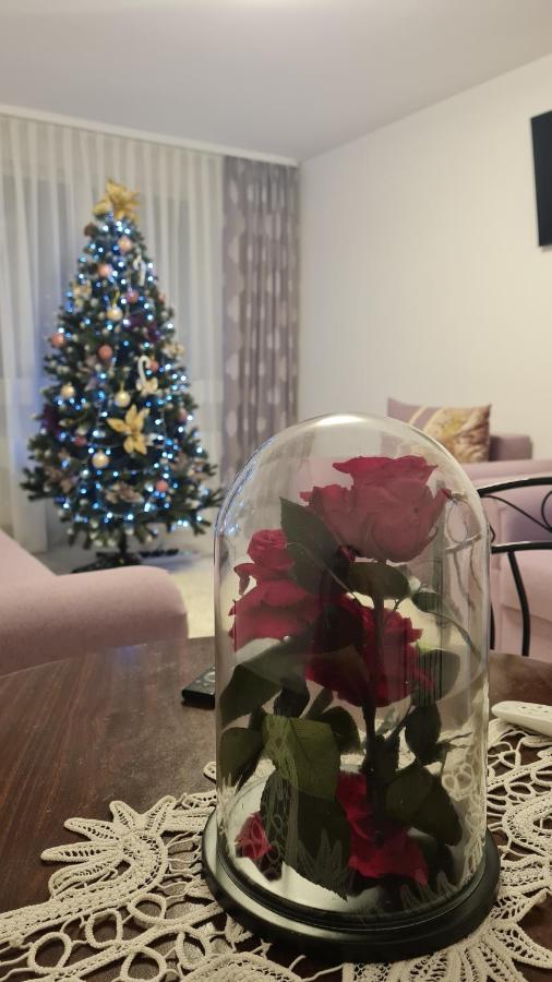 Apartament Violeta Gura Humorului Εξωτερικό φωτογραφία