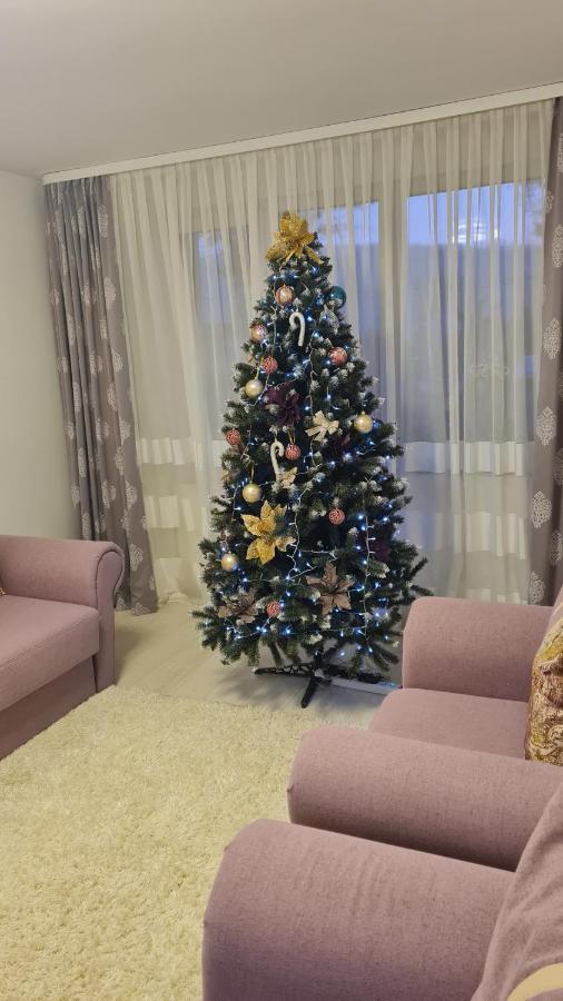 Apartament Violeta Gura Humorului Εξωτερικό φωτογραφία