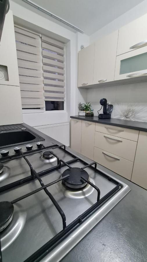 Apartament Violeta Gura Humorului Εξωτερικό φωτογραφία
